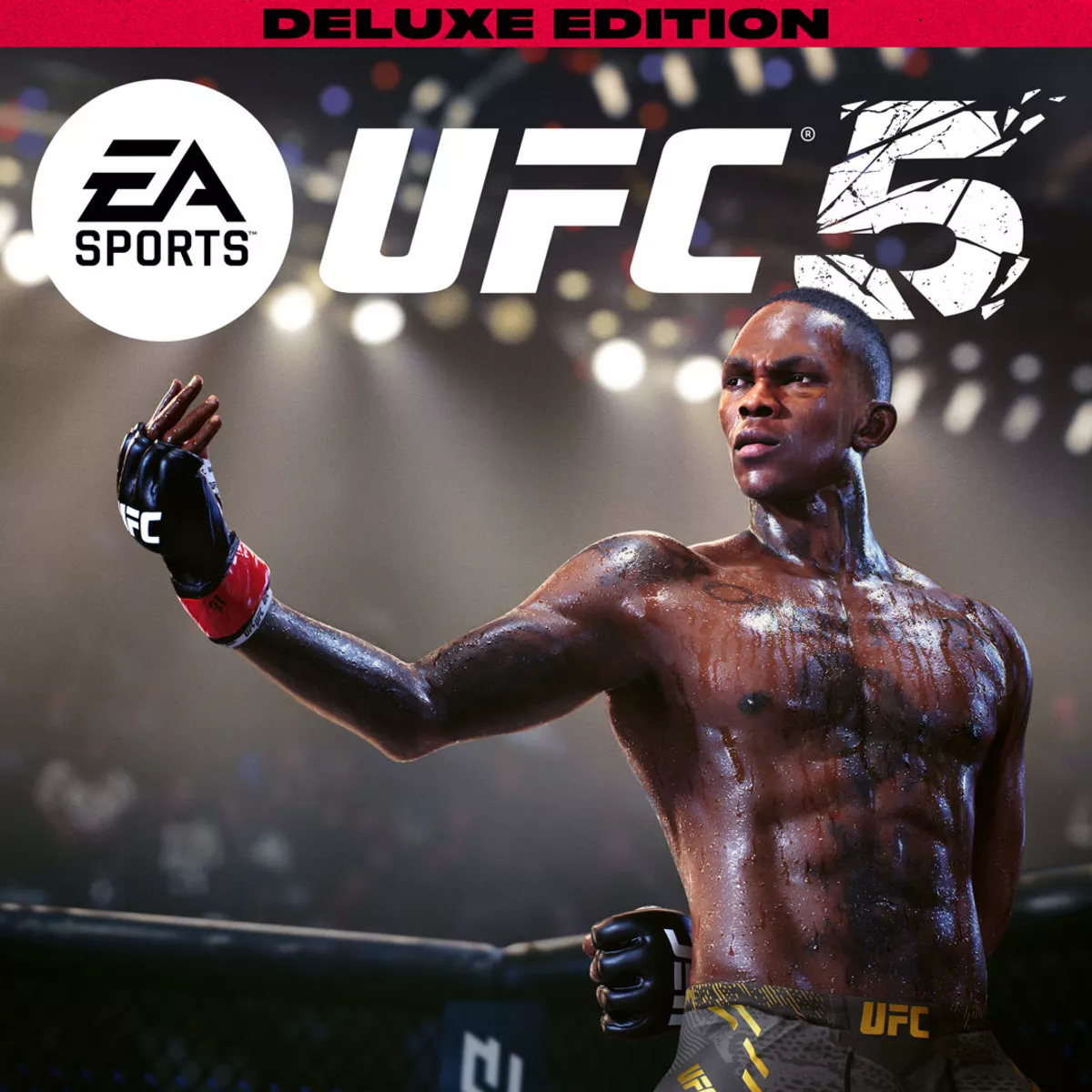 UFC 5 Deluxe Edition (PS5) для Вашего ТУРЕЦКОГО аккаунта PSN